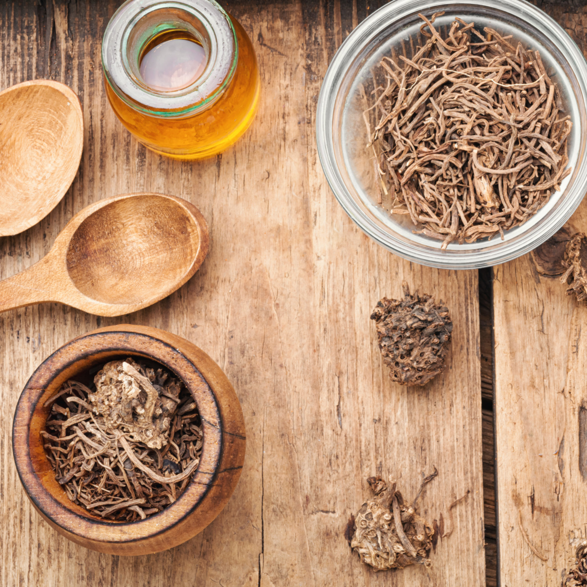 Know Your Herbs: Valerian Root