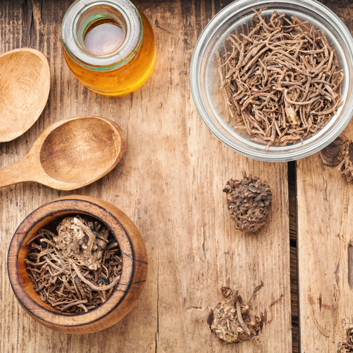 Know Your Herbs: Valerian Root